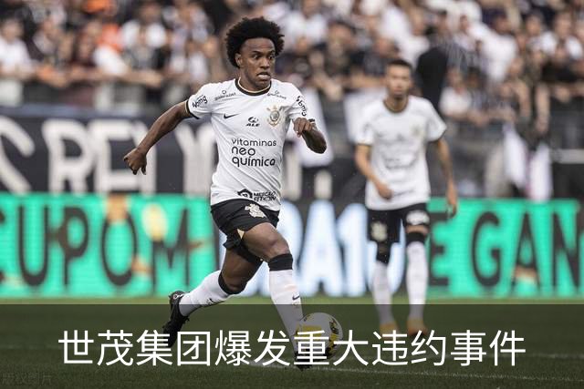 世茂集团爆发重大违约事件