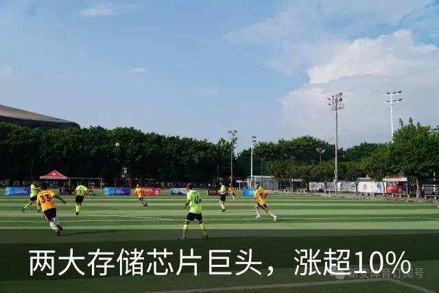 两大存储芯片巨头，涨超10%