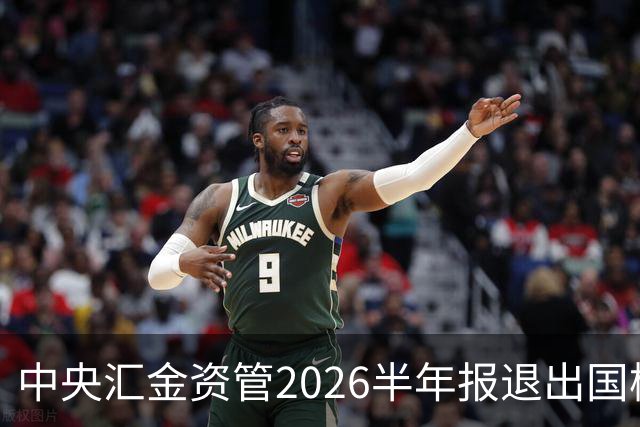 中央汇金资管2026半年报退出国检集团前十大股东名单