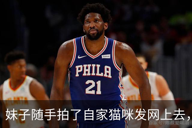 妹子随手拍了自家猫咪发网上去，谁知视频一发，评论区全在问：它的猫头怎么了？！