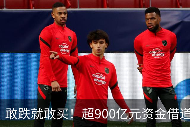 敢跌就敢买！超900亿元资金借道ETF蜂拥进场，除了沪深300，这些主题ETF也被大手笔买入