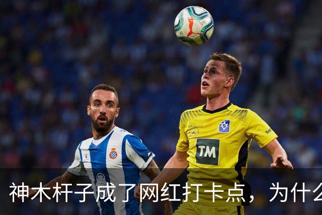 神木杆子成了网红打卡点，为什么要围起来？