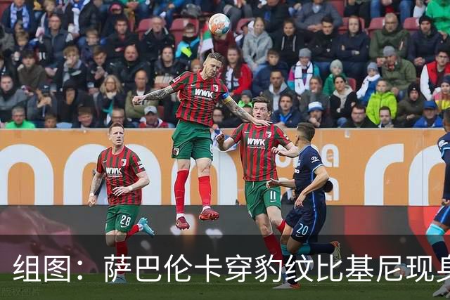 组图：萨巴伦卡穿豹纹比基尼现身海边 展示曼妙曲线
