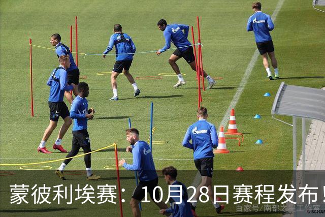 蒙彼利埃赛：10月28日赛程发布！国乒5人出战，王曼昱大迪迎强敌