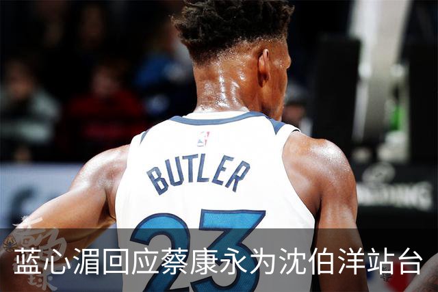 蓝心湄回应蔡康永为沈伯洋站台