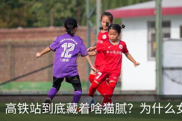 高铁站到底藏着啥猫腻？为什么女乘务员纷纷离职？内幕终被揭开